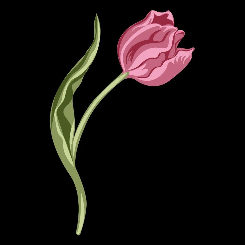 Illustration élégante de tulipe rose