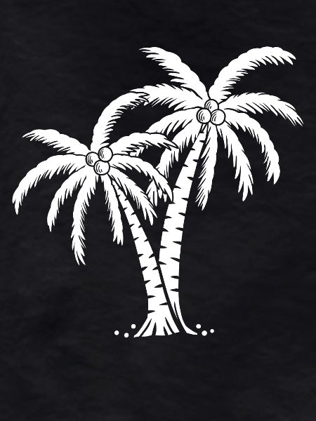 Palm tree