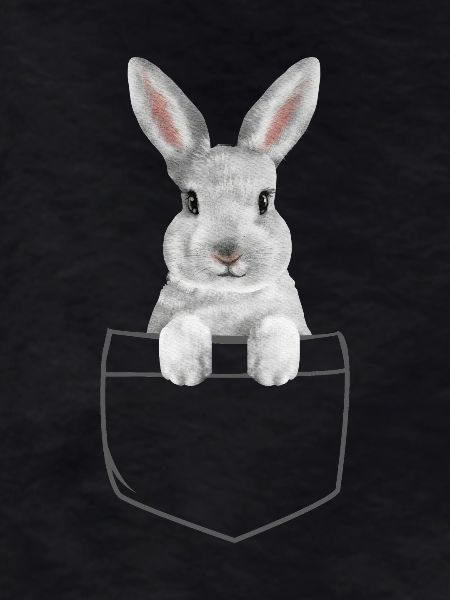 Rabbit Easter Flowers Rabbit Dad
