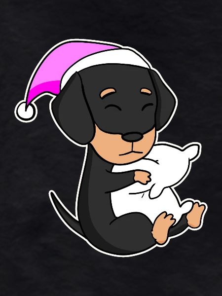 Hund Hunderasse Dackel