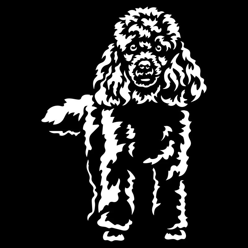 Caniche « Black Edition »