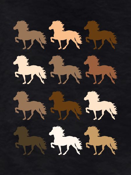 Icelandic horse
