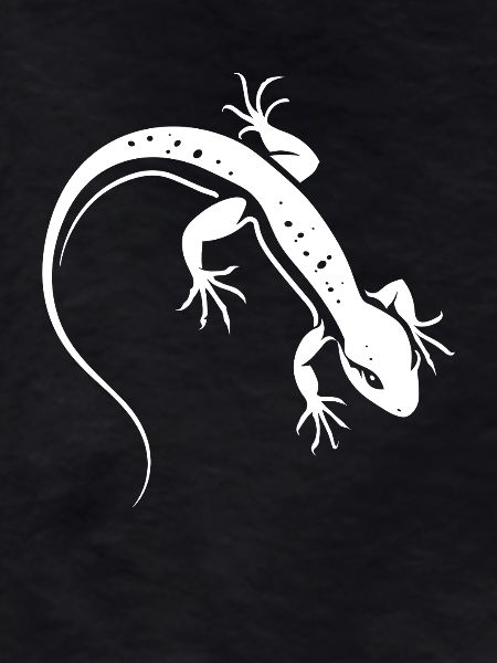 Lizard Silhouette Contrasting Salamander