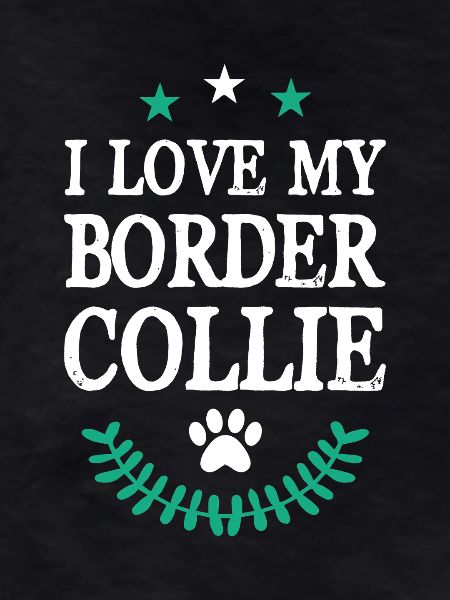 BORDER_COLLIE