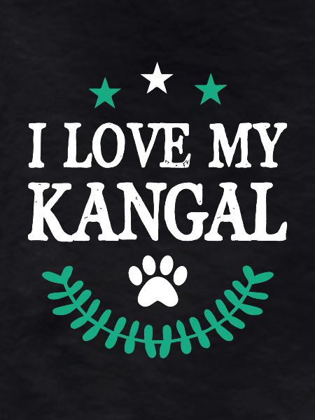 Kangal