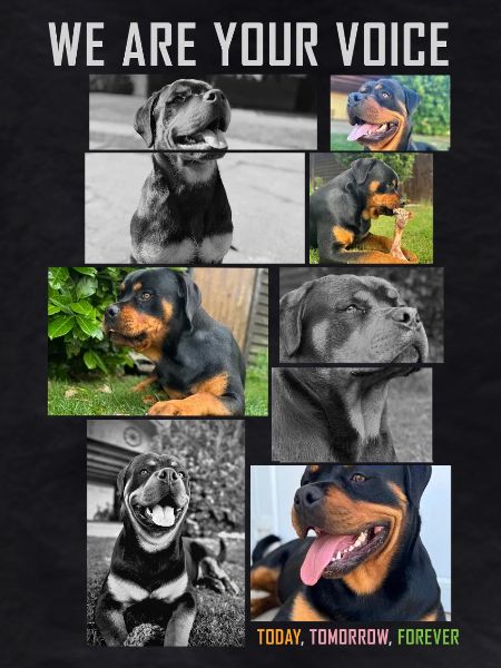 Doggy Voice Collage