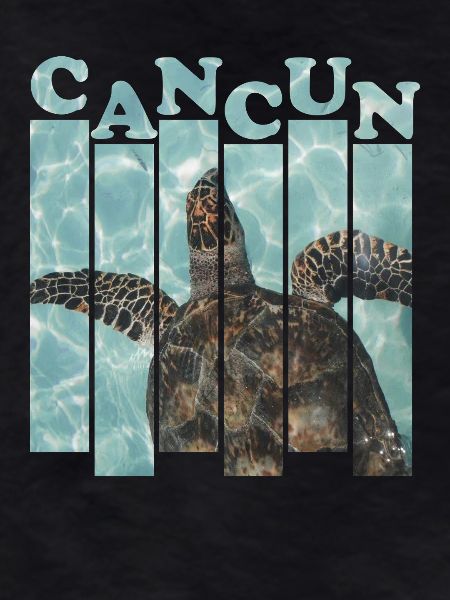 Cancun Sea Turtle Poolside Design