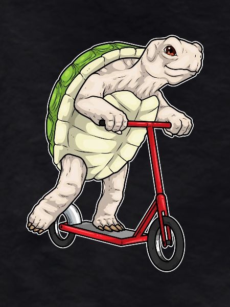 Turtle scooter
