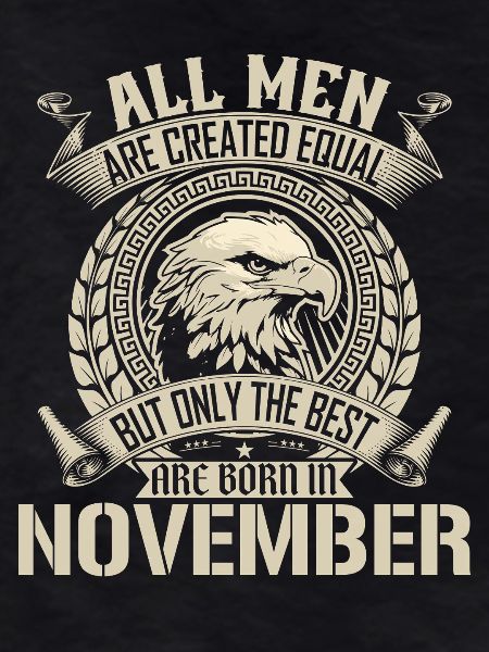 November Eagle Unity Design