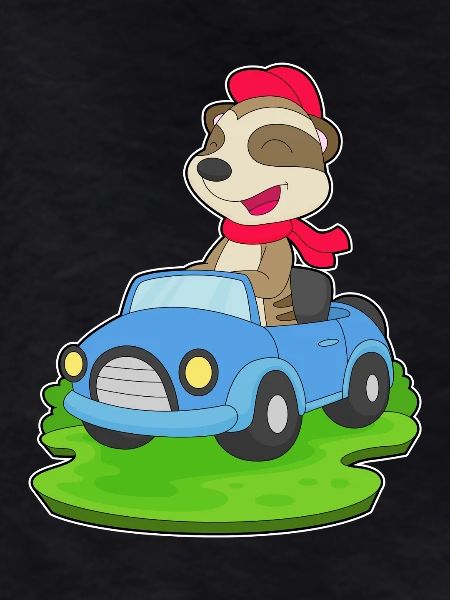 Meerkat Car