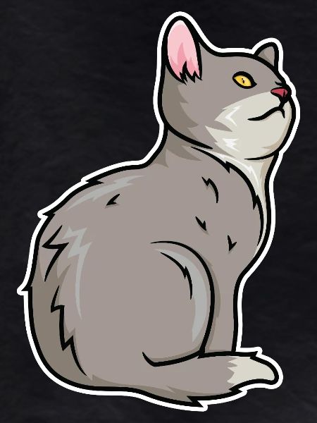 Cat Drawing