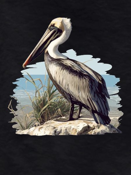 Pélicans Pélican