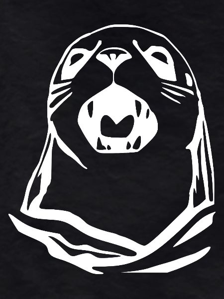 Seal Seal T-shirt Gift