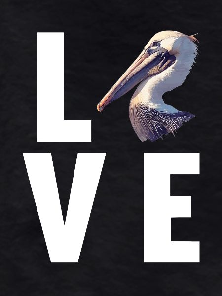 Pelicans Pelican
