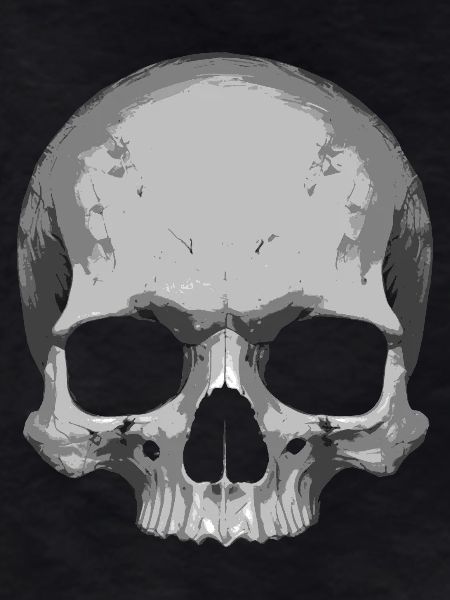 Illustration de crâne
