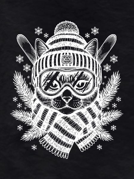 Skiing Cat Winter Fun Ski