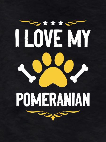 I love my Pomeranian