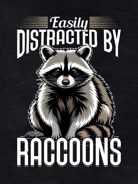 Funny Raccoon