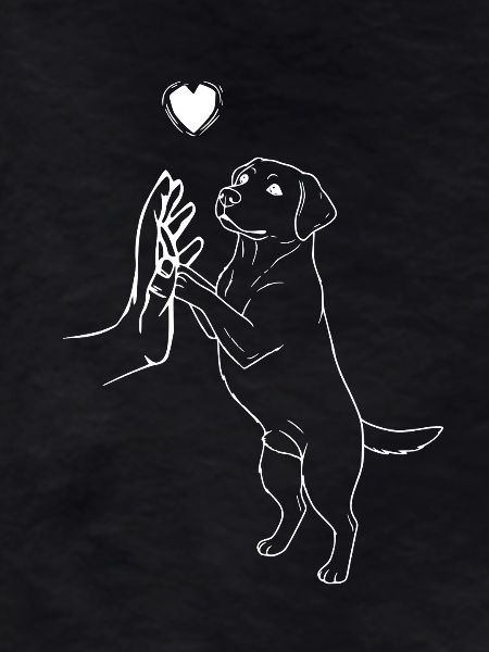 Labrador Retriever Lover Dog