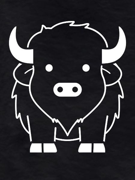 Bison