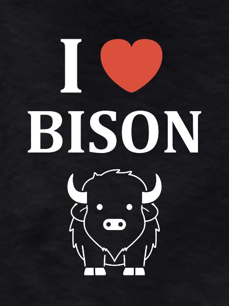 bison