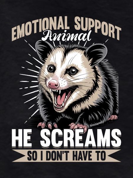 Funny Opossum