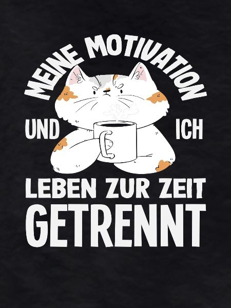 Funny Cat No Motivation Saying