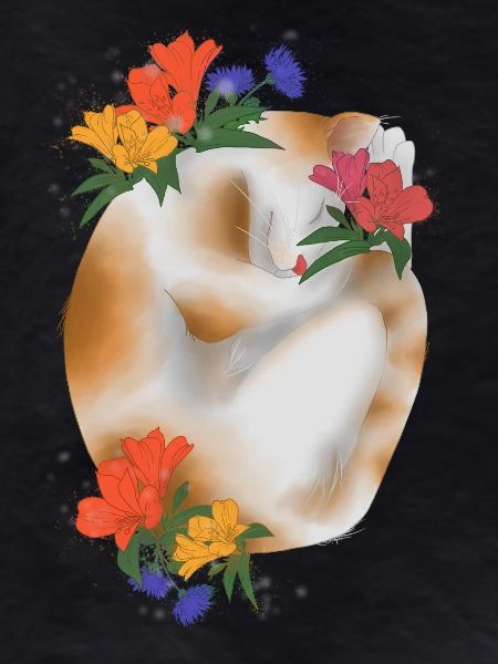 Chat et fleurs