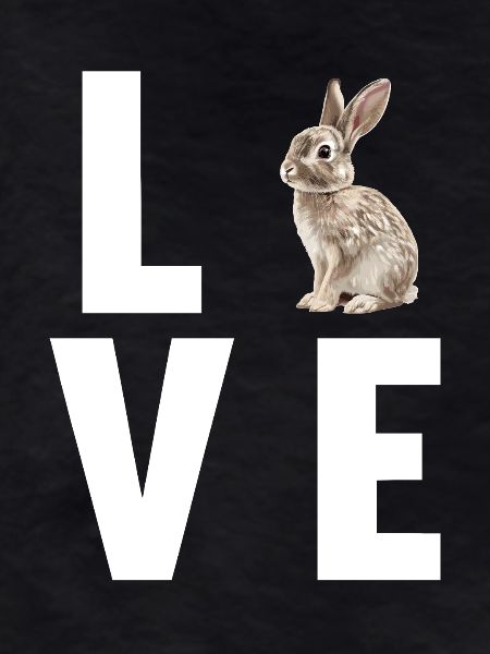 Lapin Lapin