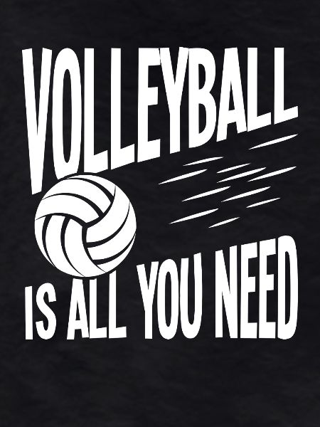 Volleyball is all you need