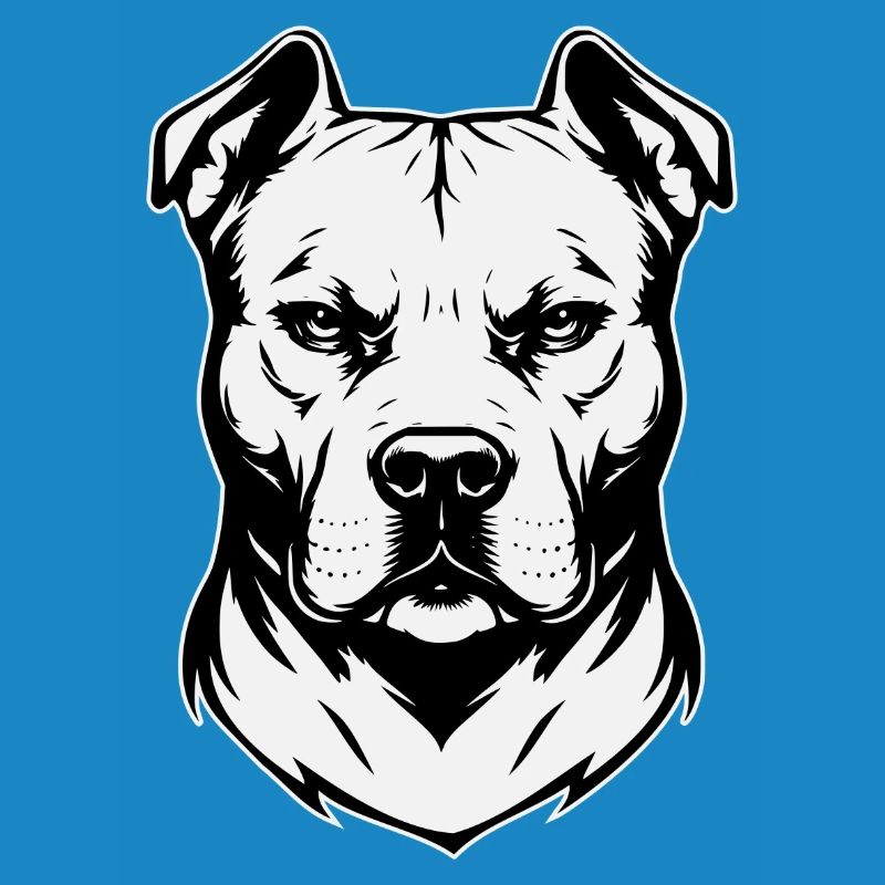 Conception Pitbull noir et blanc