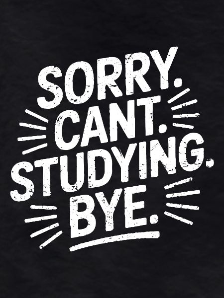 Sorry Can't Studying Bye