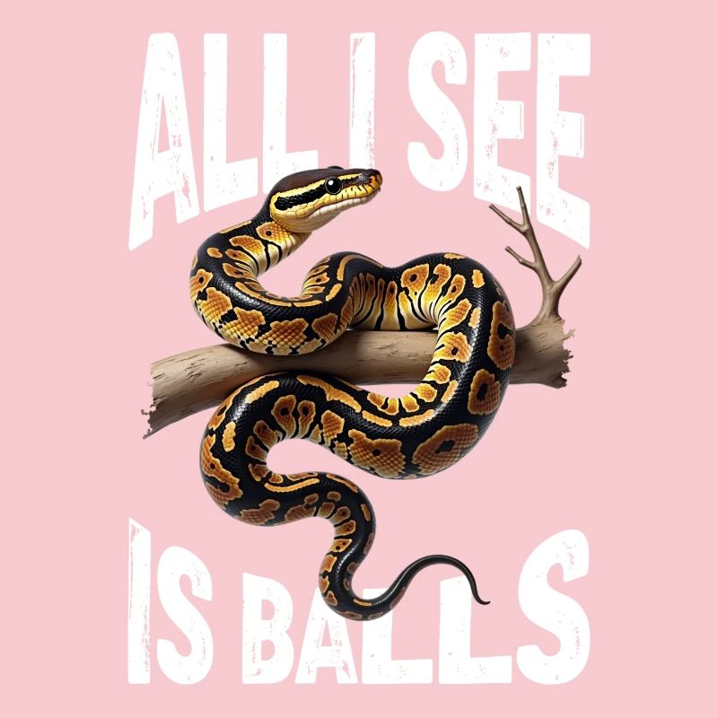 Python roi Serpents Amateurs de terrarium Python