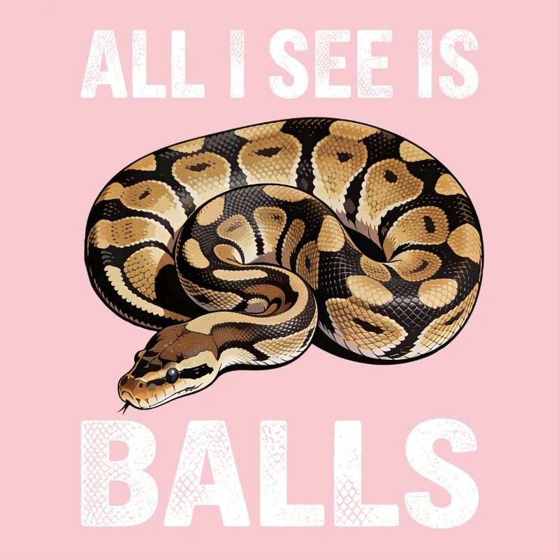 Python roi Serpents Amateurs de terrarium Python