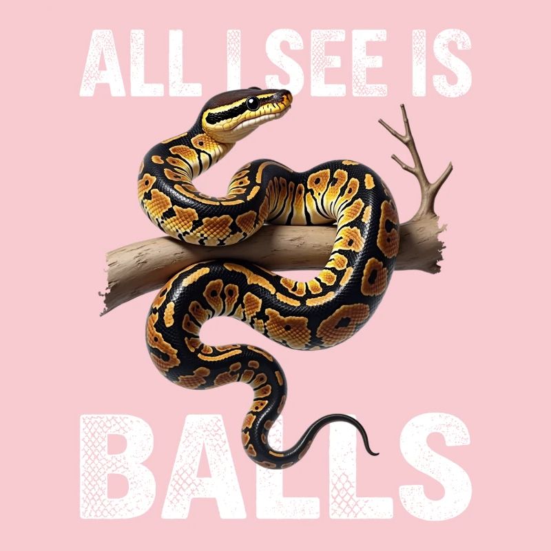 Königspython Schlangen Liebhaber Terrarium Python