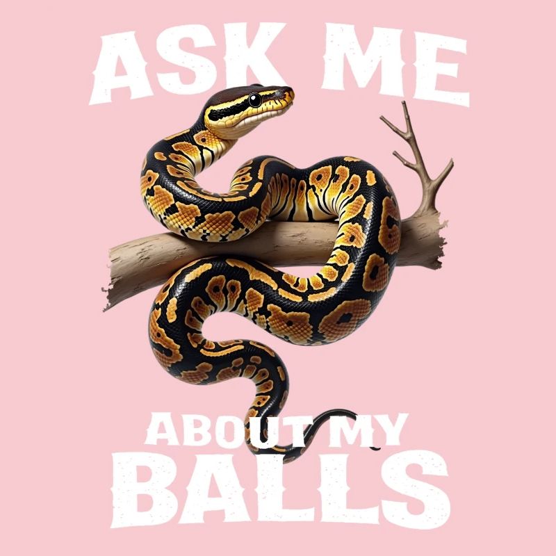 Python roi Serpents Amateurs de terrarium Python