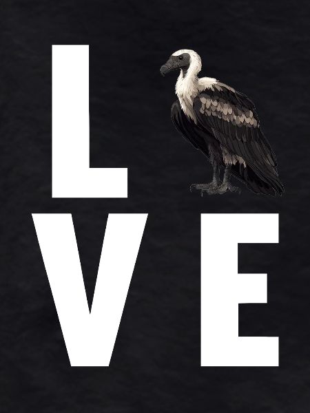 Vulture