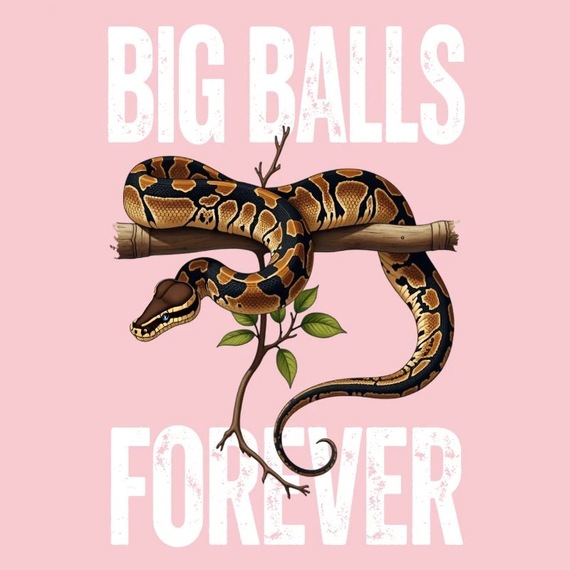 Python roi Serpents Amateurs de terrarium Python