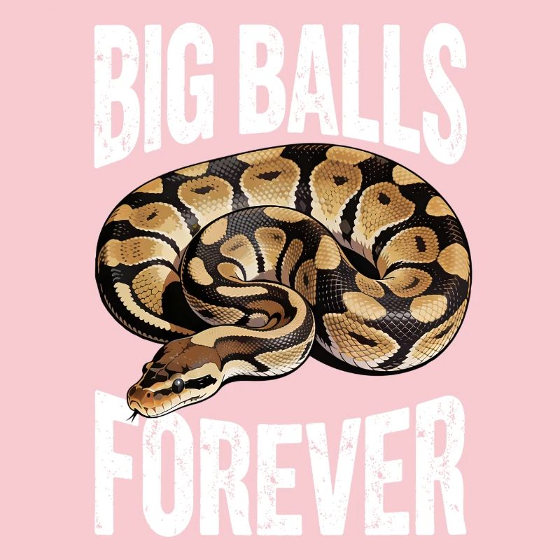 Python roi Serpents Amateurs de terrarium Python