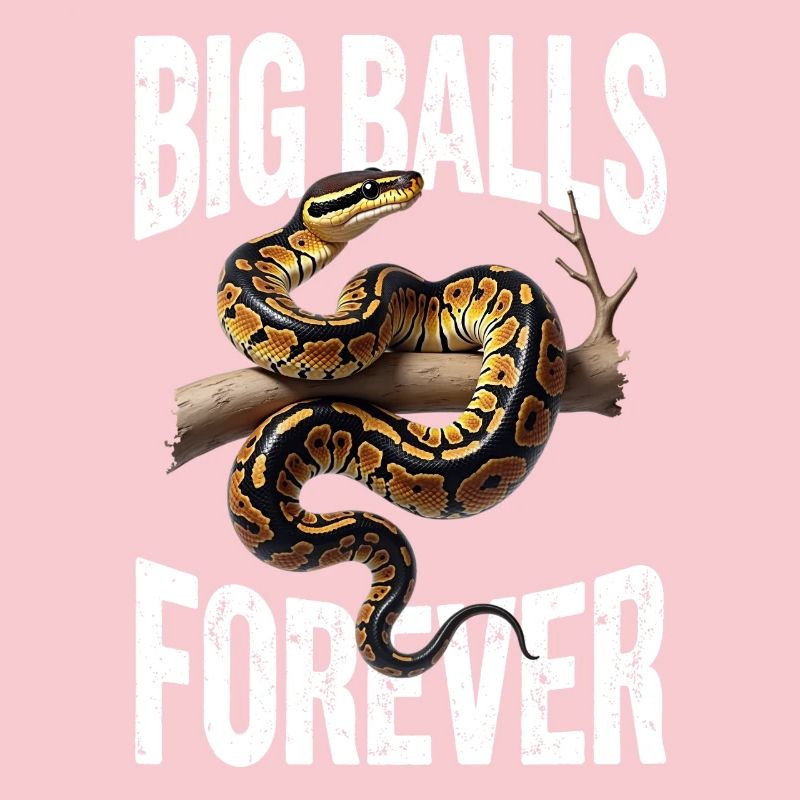 Python roi Serpents Amateurs de terrarium Python