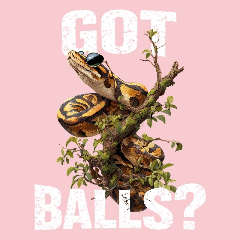 Python roi Serpents Amateurs de terrarium Python