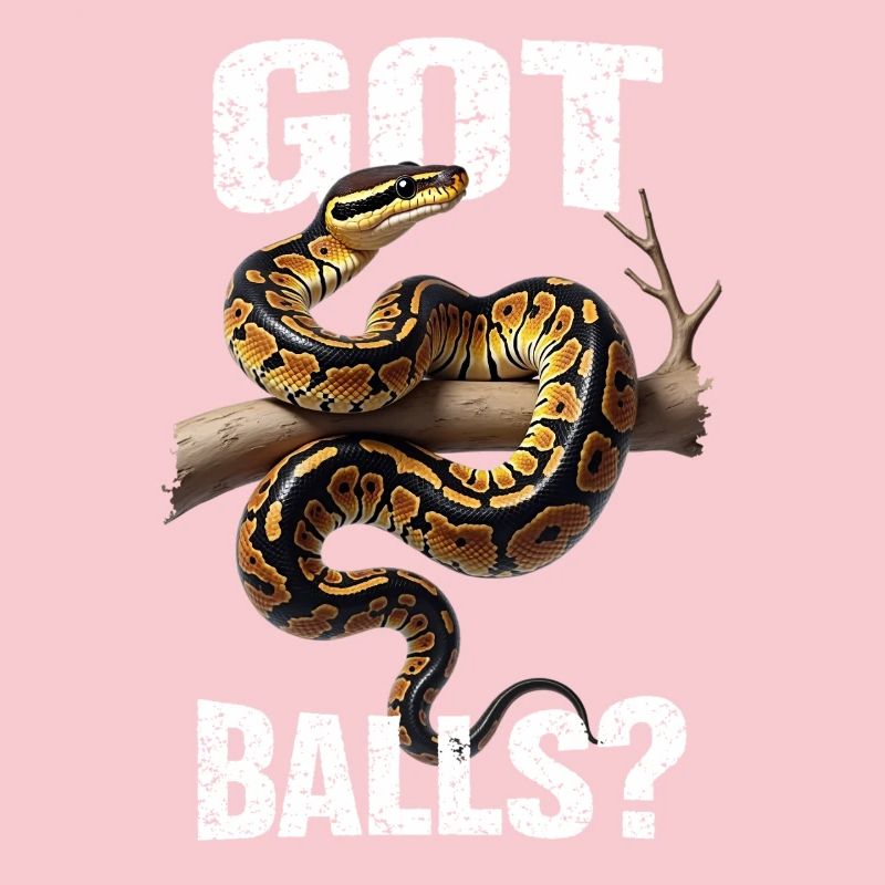 Python roi Serpents Amateurs de terrarium Python