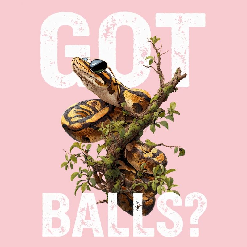 Königspython Schlangen Liebhaber Terrarium Python