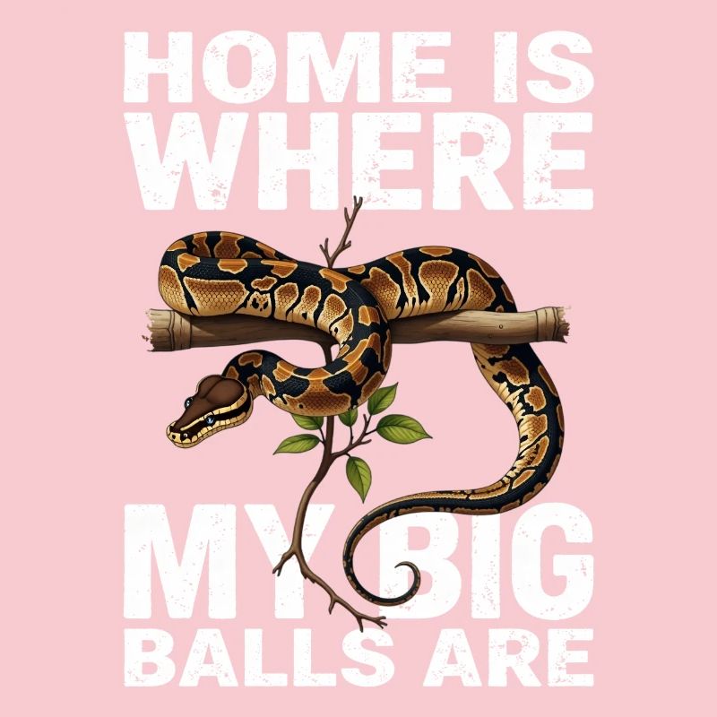 Python roi Serpents Amateurs de terrarium Python