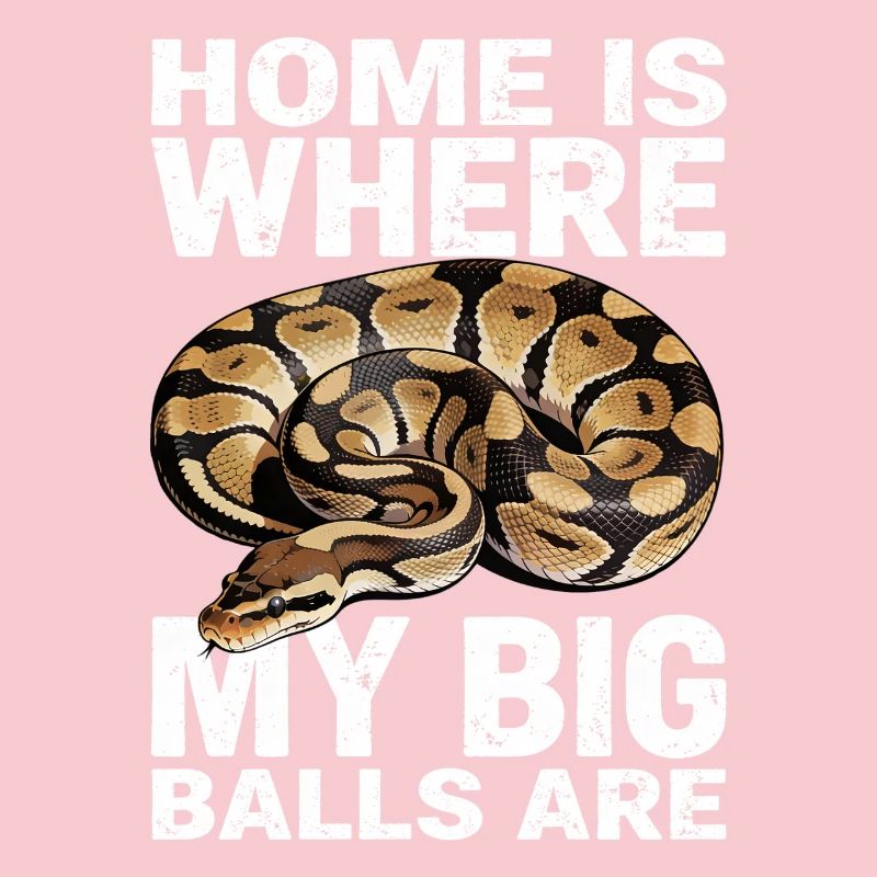 Python roi Serpents Amateurs de terrarium Python