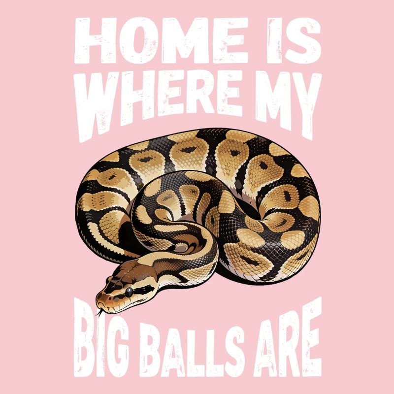 Python roi Serpents Amateurs de terrarium Python