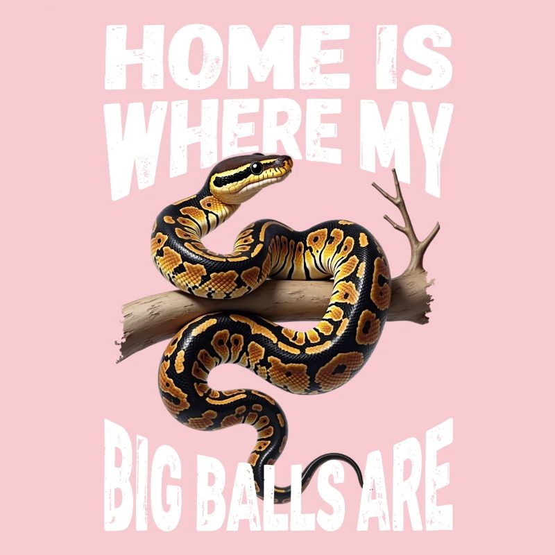 Python roi Serpents Amateurs de terrarium Python