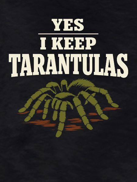 Tarantula Tarantula Holder Spider Owner