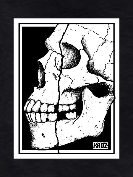 Broken Skull Portrait
