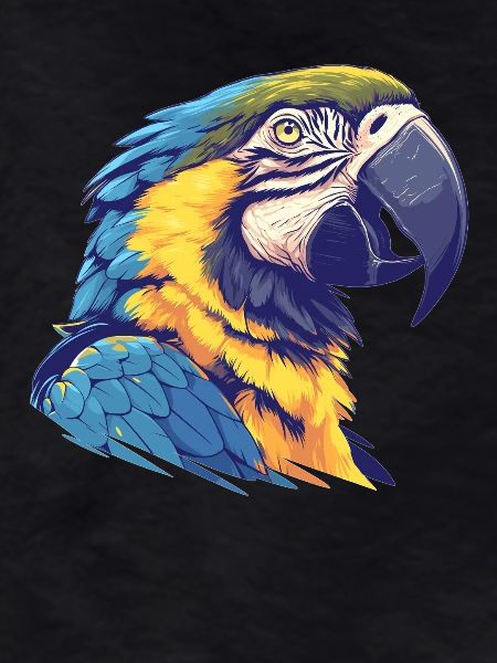 Macaw's Era